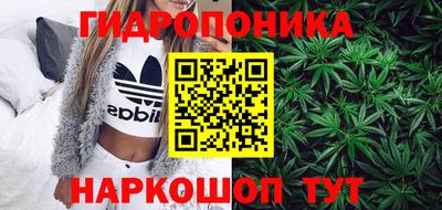 гидра Иваново