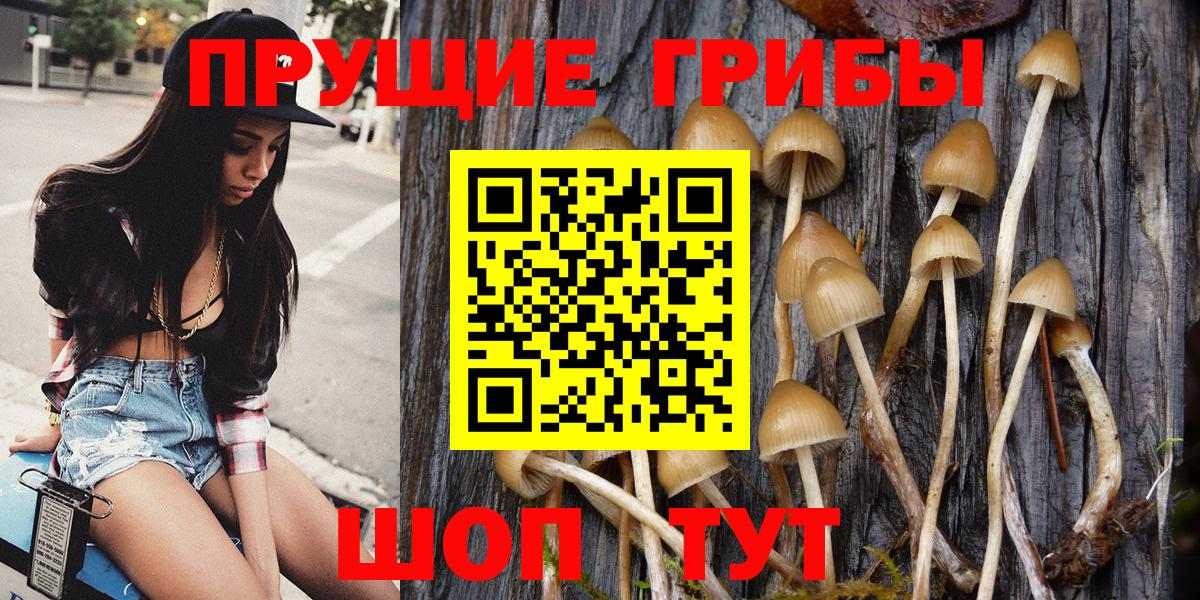 Верхняя Пышма  Галлюциногенные грибы Magic Shrooms  Вход с VPN  Галлюциногенные грибы MAGIC MUSHROOMS 